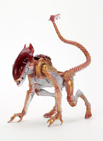 Aliens - Panther Alien Kenner Tribute 7