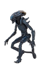 Aliens Arachnoid Alien Vs Predator 7