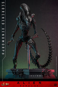 Alien: Romulus - Scorched Xenomorph 1:6 Scale Collectable Action Figure (PRE ORDER)